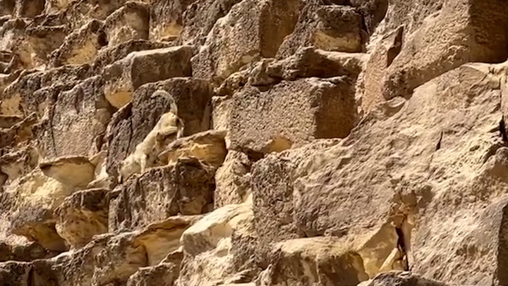 Researcher Suggests Ancient Egyptian Mine Inscription Could Hold Earliest Mention of Moses